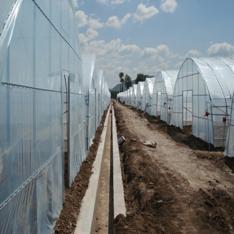 0.04~0.12mm Agricultural Green - đánh giá và giá Agriculture Farming Vegetables