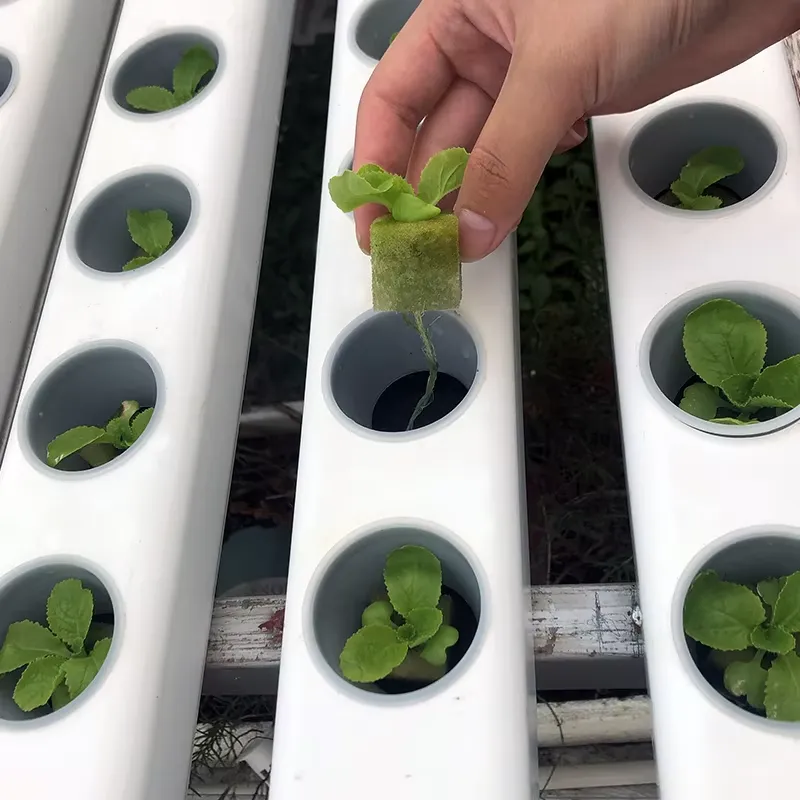 75x50mm Custom Shading PVC Pro - đánh giá và giá Hydroponic Nft Channel